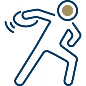 Icon Representing the Sport: Frisbee Golf